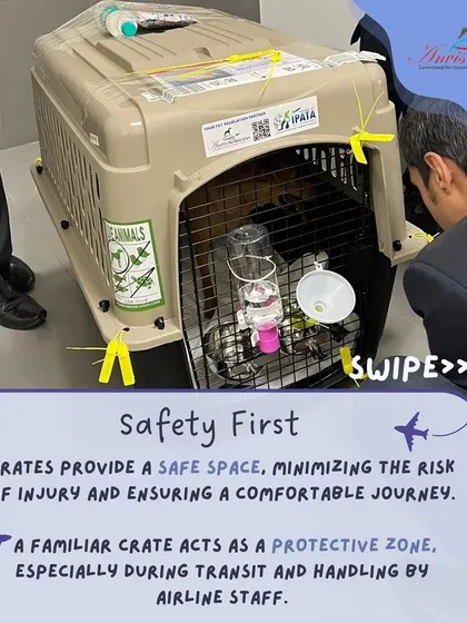 Safety is our first priority. A secure, IATA-compliant travel crate provides a safe space for your pet, minimizing the risk of injury and ensuring a comfortable journey, especially during handling by airline staff.