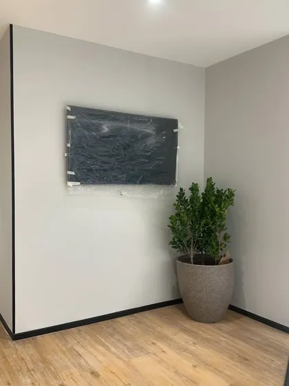 A smaller potted plant brings a touch of green to a minimalist corner with light wood flooring. Even small plants can significantly enhance the ambiance of a space.