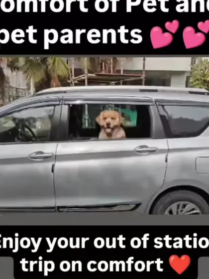 My new Ertiga is perfect for long out-of-station trips, providing maximum comfort for both pets and their parents.