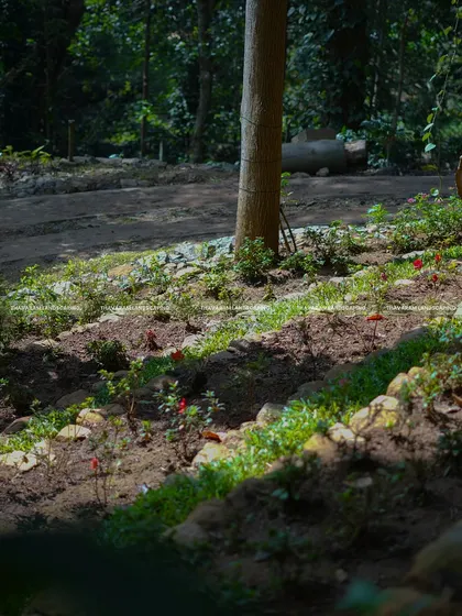 Sunlight highlights newly planted flowers on a terraced, stone-lined garden bed in a natural, wooded setting.