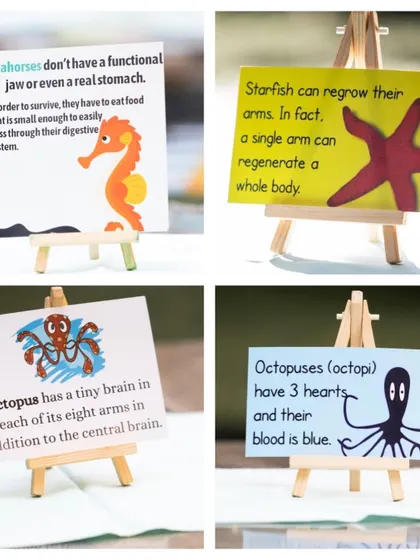Learning can be part of the fun! For this ocean-themed party, I created these fun fact cards about sea creatures like seahorses and octopuses to spark curiosity and add an educational twist to the celebration.