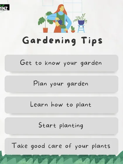 New to gardening? These five fundamental tips will guide you, from getting to know your garden's conditions to planning your layout and learning how to properly care for your plants.