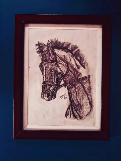 A collection of my other framed A4 size zentangle and sketch artworks, including various animals and patterns.