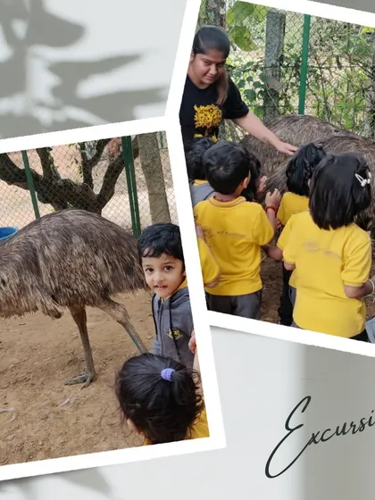 An instructor guides the children as they gently pet an emu. Supervised interactions ensure everyone feels safe and respected.