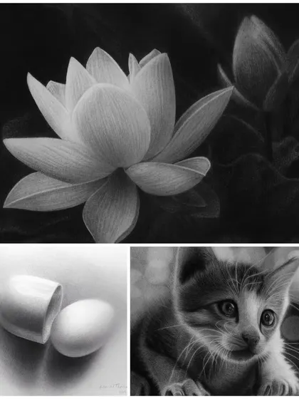 A collage of texture studies, including a lotus, an egg, and a cat, all drawn to learn how to render different surfaces.