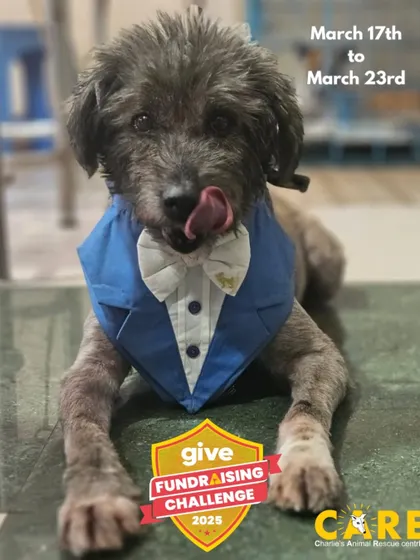 Our dapper resident encourages you to donate during the Give Fundraising Challenge. Your contribution to our trauma care fund is critical in saving lives.