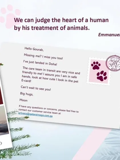 This graphic from Qatar Airways shows the level of care pets receive during transit. We partner with trusted, pet-friendly airlines that provide updates and ensure the well-being of your furry friend.