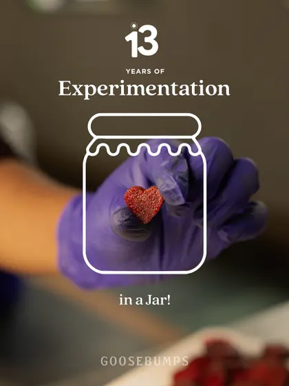 It all started with experimentation. This image, showing a heart-shaped piece of dried fruit, represents the small kitchen experiments that grew into the brand you see today.