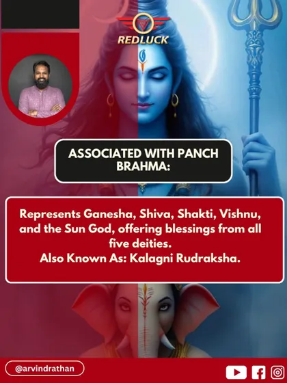 This bead is associated with the Panch Brahma, representing five deities in one: Ganesha, Shiva, Shakti, Vishnu, and the Sun God. It is also known as the Kalagni Rudraksha, offering blessings from all these divine forces.