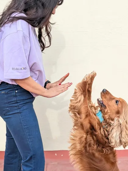 Practicing a "high five" with Drogo. Training should always be fun and engaging, strengthening your bond through positive play.