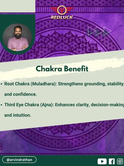 The Ganesh Rudraksha provides dual chakra benefits. It strengthens grounding and confidence by activating the Root Chakra (Muladhara) and enhances clarity and intuition through the Third Eye Chakra (Ajna).