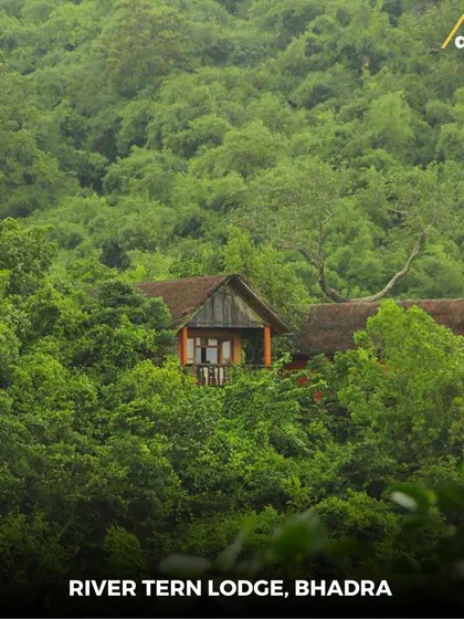 A lone cottage peeking out from the dense forests of the Bhadra Tiger Reserve. This is the River Tern Lodge, where you are truly immersed in nature.