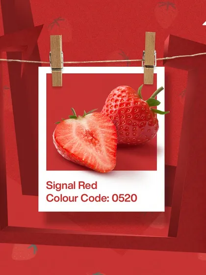 New year, fresh start! These fruity colors are perfect for your home sweet home. From the signal red of strawberries to the sporty yellow of mangoes, pick a color to beautify your walls.