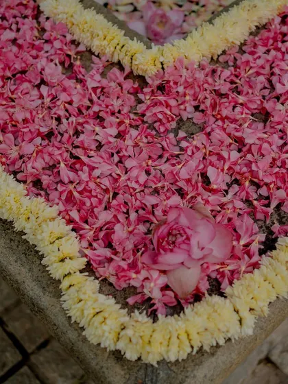 A stone fountain filled with pink petals and lotus flowers.