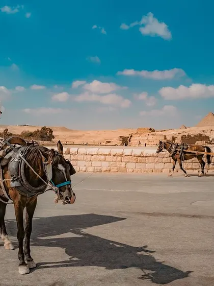 A horse-drawn carriage, a common mode of transport for tourists, waits for passengers at the Giza plateau.