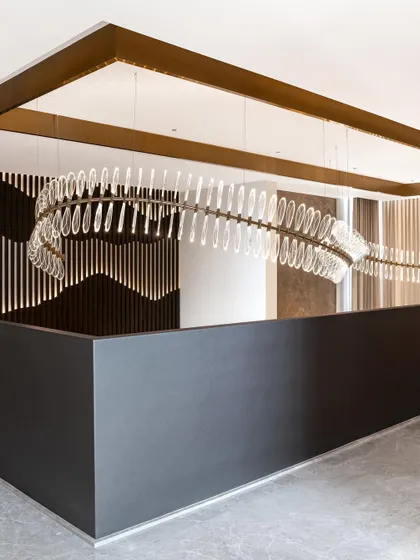 This custom chandelier in the Silhouette home is a piece of art in itself. Suspended in a double-height space, its delicate, leaf-like structure adds a touch of organic elegance to the modern interior.