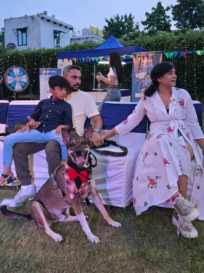 A happy family enjoying the event from the sidelines. We ensure there's comfortable seating and a relaxed atmosphere for everyone, making it a great day out for the entire family, not just the pets.