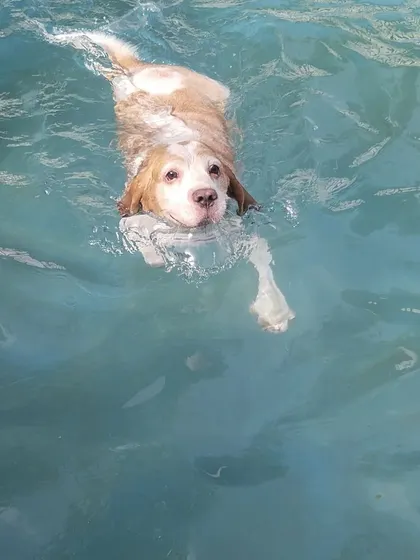 A confident swimmer enjoying the water. We help even first-time swimmers get comfortable in the pool under careful supervision.
