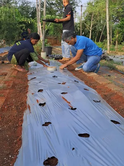 My friend Ravi getting his hands dirty and helping us with planting. My garden is built on community and friendship, and I'm grateful for everyone who contributes.