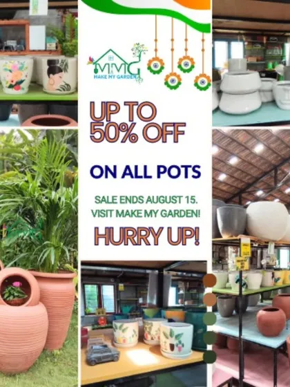 An announcement for our Independence Day sale, offering up to 50% off on all pots. This collage showcases the wide variety available, from hand-painted ceramics to large terracotta urns.
