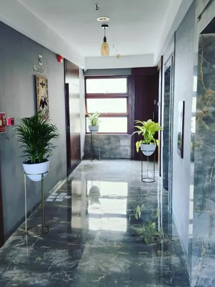 Plants bring lovely additions to your homes. Here, simple plants on stands add elegance and life to a building corridor.
