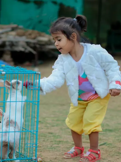 A little girl curiously peeking at the rabbits in their cage, fascinated by our smallest residents.