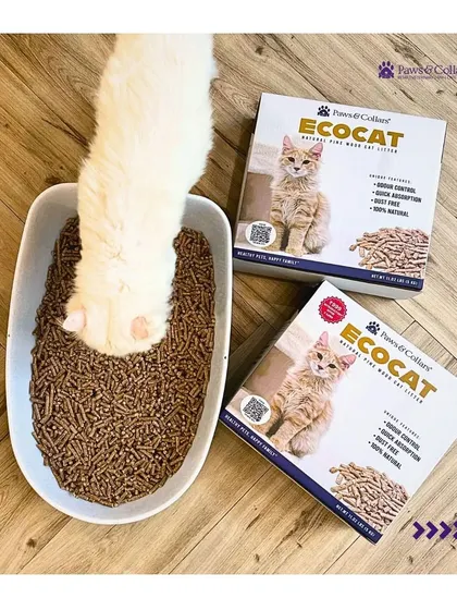A repeat of image 71, showing a cat interacting with the litter, which helps customers visualize their own pet using the product.