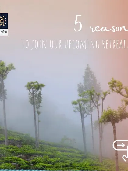 We invite you to join our upcoming retreat, a chance to escape the city and find stillness in the misty hills of a beautiful tea estate.