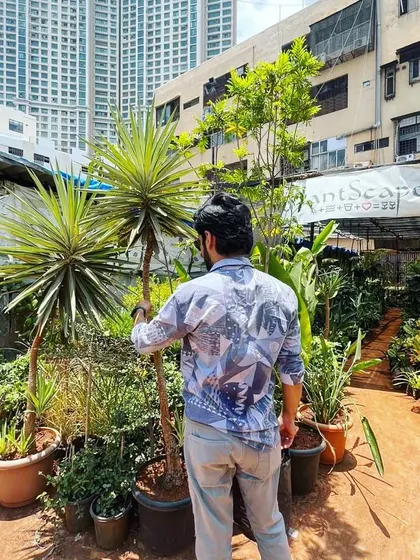 Come and take a closer look. We have plants that will take your breath away, from small succulents to large Yucca trees.
