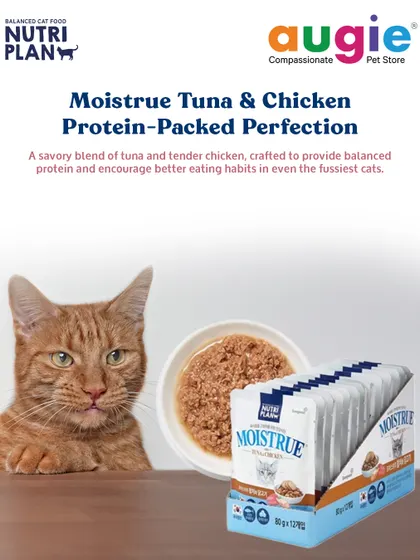 The Tuna & Chicken variant of Nutriplan Moistrue is perfect for providing balanced protein. It's crafted to encourage better eating habits in even the fussiest cats while delivering the hydration they need.