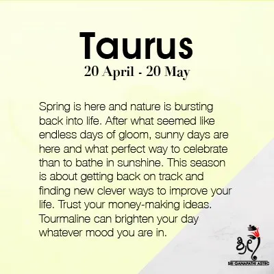 A message for the Taurus sign. Spring is a time for new beginnings and finding clever ways to improve your life. Trust your ideas and bathe in the sunshine.
