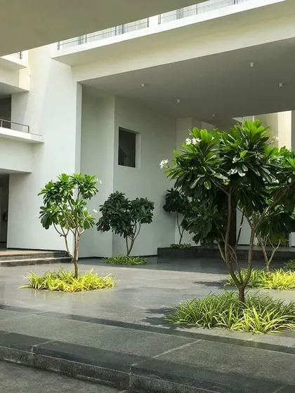 A duplicate image of the internal courtyard at DRL Leadership Academy.