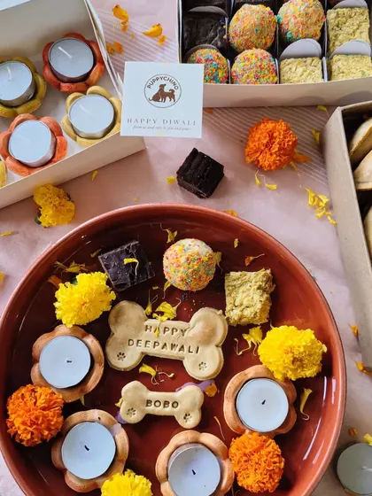 A festive flat lay of my complete Diwali collection. You can see the dog-safe gujiyas, the mithai box with laddoos and barfis, and my unique edible diyas that let your dog have their own safe celebration.