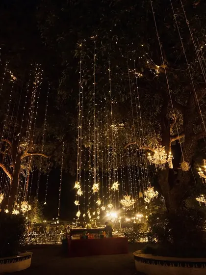 A night of romance and royalty at Jagmandir, with trees draped in cascading lights and crystal chandeliers, creating an ethereal glow.