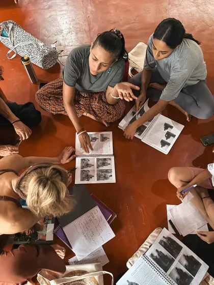 Students huddle around anatomy books, studying the mechanics of the human body. Understanding how the body moves is essential for any yoga teacher who wants to guide their students safely and effectively.