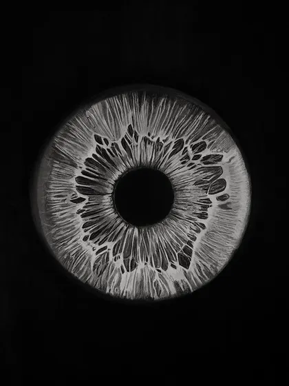 A detailed study of the iris. The patterns are so intricate and unique, like a fingerprint.