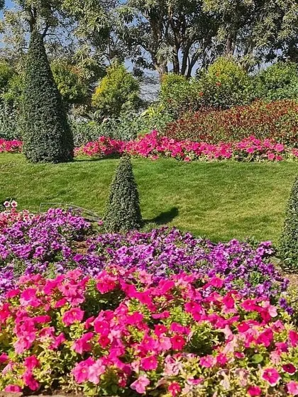 A photo series from a visit to a stunning flower park. The vibrant colors, textures, and patterns of these large-scale flower beds are a huge inspiration for my own public park designs.