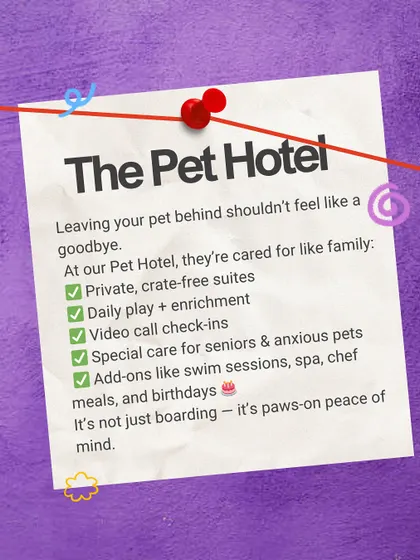 Leaving your pet behind shouldn't feel like a goodbye. At our Pet Hotel, they are cared for like family with private suites, daily enrichment, and video call check-ins.