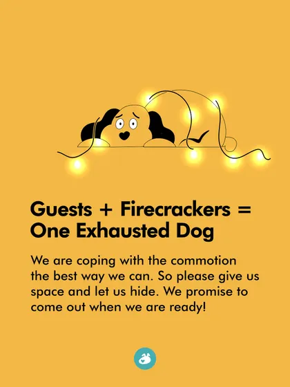 Guests plus firecrackers equals one exhausted dog. Please give us space and let us hide if we need to. We'll come out when we're ready.