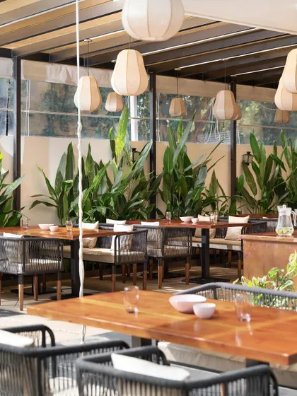 From every angle, the goal was to create a sense of tranquility. The pergola structure provides shade while the abundant greenery helps cool the space and create a natural boundary.