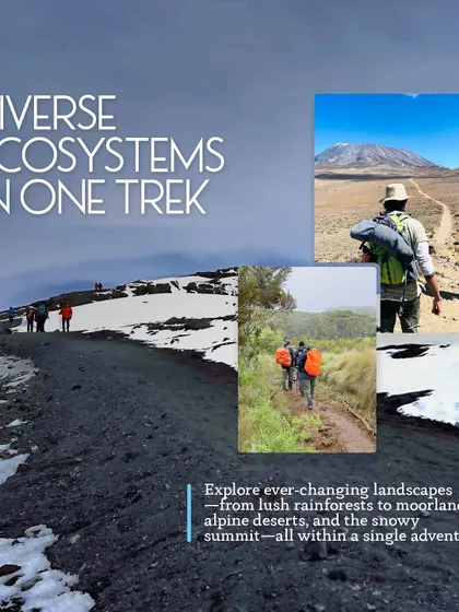 One trek, diverse ecosystems. This graphic shows the changing landscapes of Kilimanjaro, from lush rainforests and moorlands to alpine deserts and the snowy summit.