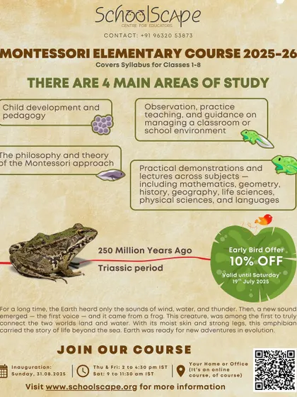 Our Elementary Course curriculum is structured around four main areas of study, including child development, Montessori philosophy, practical demonstrations, and classroom management.