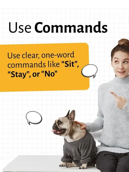 Simplicity is key when teaching your pet new commands. This visual demonstrates how using clear, single-word commands helps your dog or cat learn faster and respond more reliably.