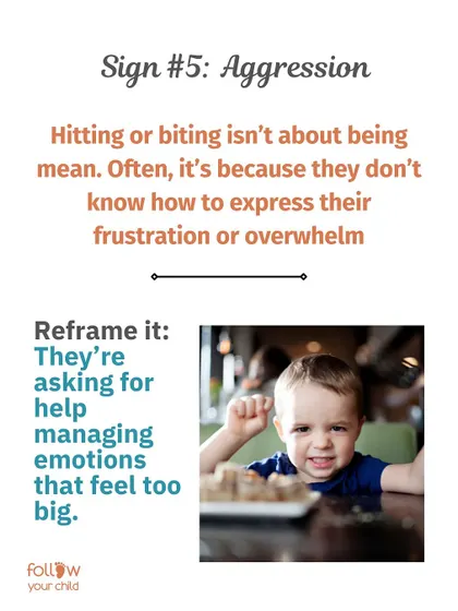Reframe Aggression: Hitting or biting isn't about being mean. It's often a child's way of asking for help in managing emotions that feel too big.