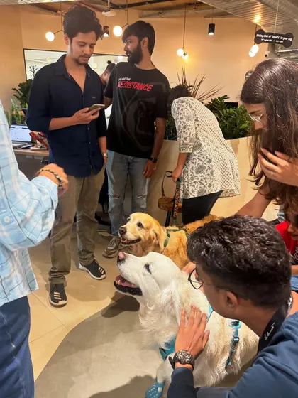 Two of my graduates, Coco and Ginger, showing how well-socialized dogs can calmly handle being the center of attention in a group setting.