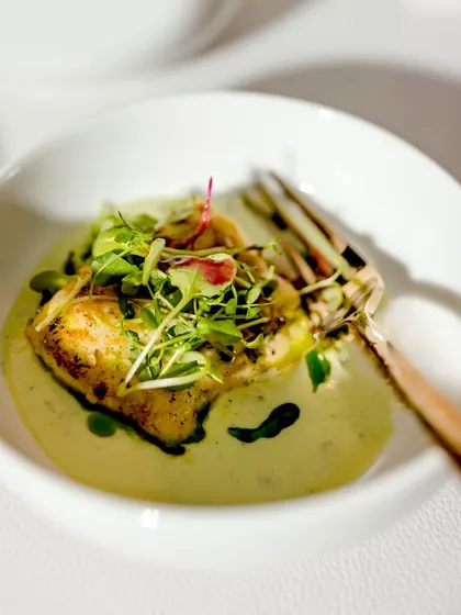 A beautifully plated small plate of pan-seared fish with microgreens in a light, creamy sauce. This dish is perfect for a "flying buffet" service, offering restaurant-quality food in an event setting.