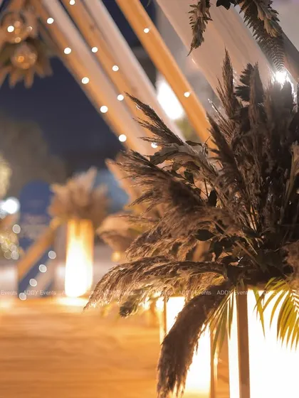 This close-up view of the pampas grass walkway shows the warm, inviting glow created by the internal lighting within the pillars. This design element guides guests into the event space while building a sense of magic and anticipation.