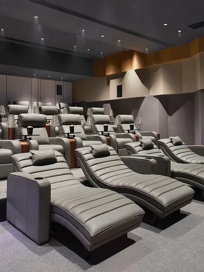 The theater's walls and ceiling are treated with undulating acoustic panels to ensure optimal sound quality, a key technical detail in the design.