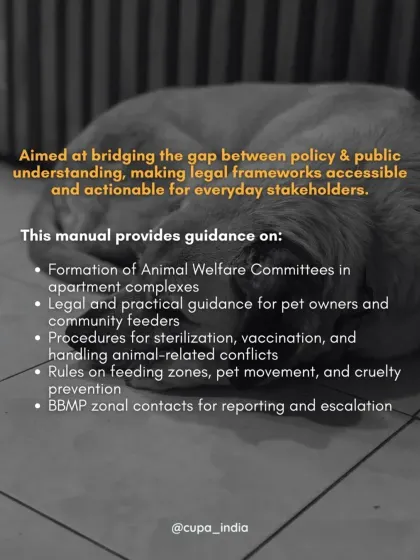 The manual I created provides guidance on forming Animal Welfare Committees, legal rights for pet owners, procedures for sterilization, and rules on feeding zones.