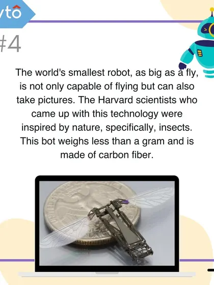 The world's smallest robot is as small as a fly and was inspired by insects. Created by Harvard scientists, this carbon fiber bot can fly and take pictures.